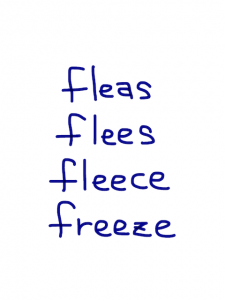 fleas/flees/fleece/freeze　似た英単語/似ている英単語　画像