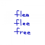 flea/flee/free　似た英単語/似ている英単語　画像