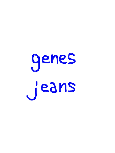 genes/jeans　似た英単語/似ている英単語　画像