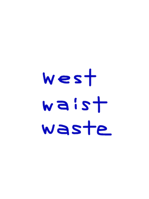 west/waist/waste　似た英単語/似ている英単語　画像