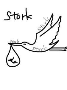 stalk/stark/stork　似た英単語/似ている英単語　画像