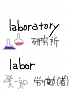 lavatory/laboratory　似た英単語/似ている英単語　画像