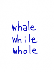 whale/while/whole　似た英単語/似ている英単語　画像