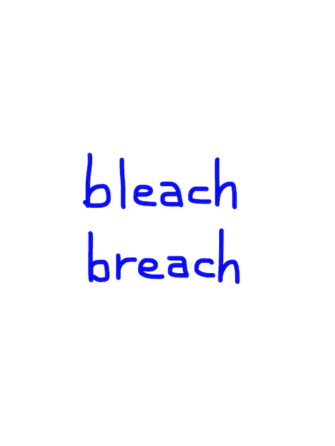 bleach/breach　似た英単語/似ている英単語　画像