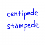 centipede/stampede　似た英単語/似ている英単語　画像