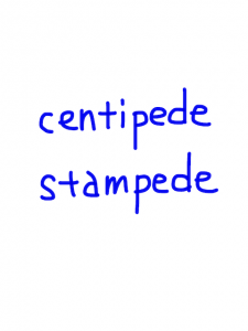 centipede/stampede　似た英単語/似ている英単語　画像