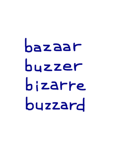 bazaar/buzzer/bizarre/buzzard　似た英単語/似ている英単語　画像