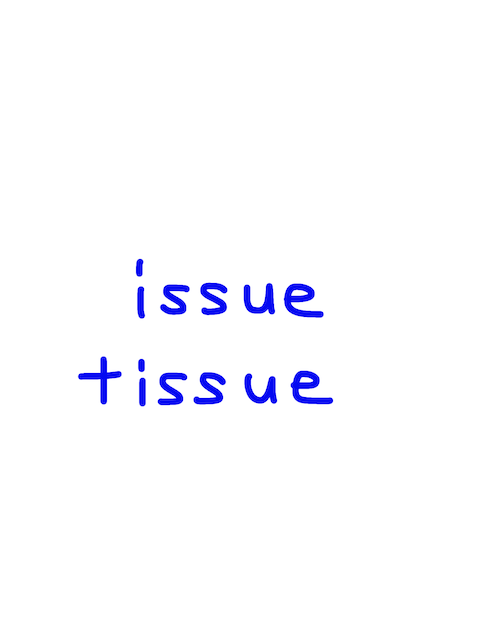 issue/tissue　似た英単語/似ている英単語　画像