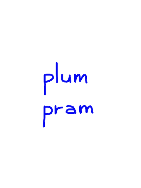 plum/pram　似た英単語/似ている英単語　画像