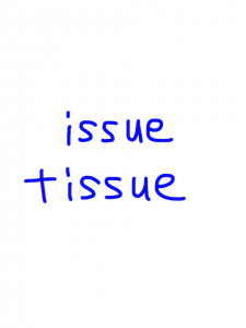 issue/tissue　似た英単語/似ている英単語　画像