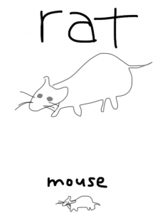 mouse/mouth　似た英単語/似ている英単語　画像
