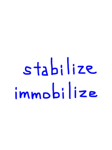 stabilize/immobilize 　似た英単語/似ている英単語　画像