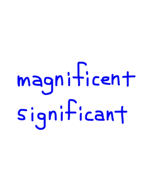 magnificent/significant　似た英単語/似ている英単語　画像