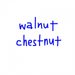 walnut/chestnut　似た英単語/似ている英単語　画像