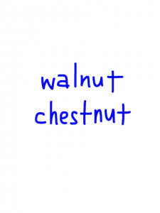 walnut/chestnut　似た英単語/似ている英単語　画像