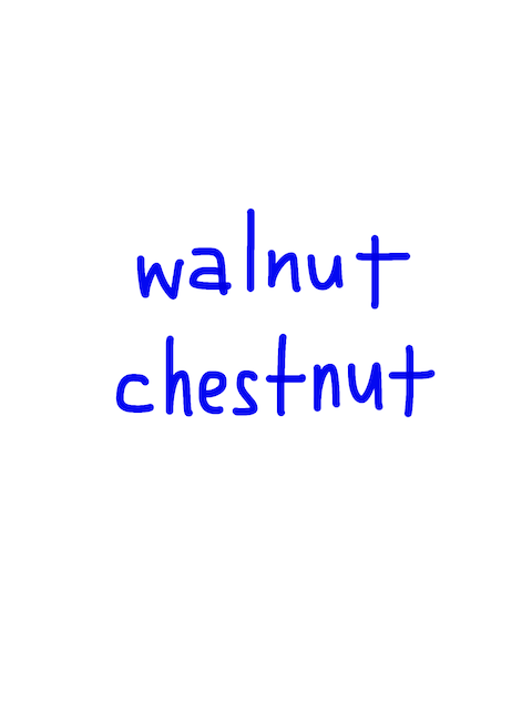 walnut/chestnut　似た英単語/似ている英単語　画像