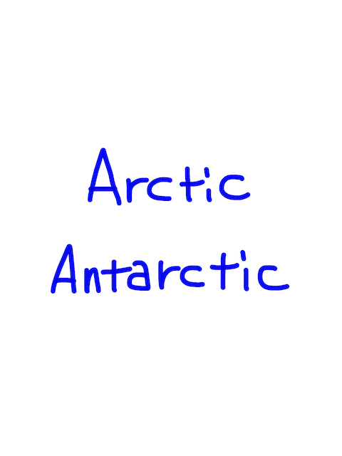 Arctic/Antarctic　似た英単語/似ている英単語　画像