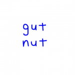 gut/nut　似た英単語/似ている英単語　画像