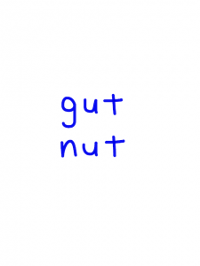 gut/nut　似た英単語/似ている英単語　画像