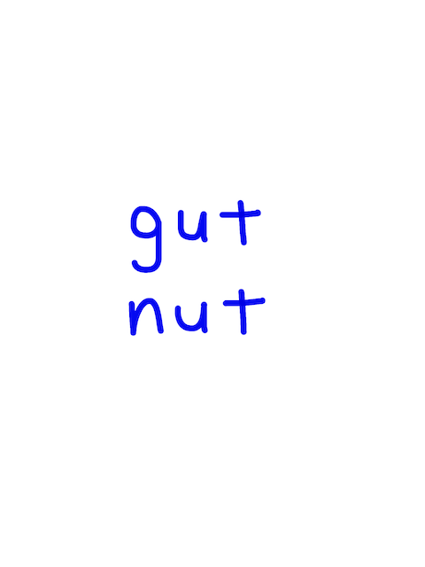 gut/nut　似た英単語/似ている英単語　画像