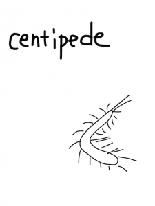 Caterpillar/caterpillar　似た英単語/似ている英単語　画像