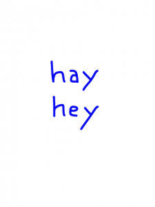 hay/hey　似た英単語/似ている英単語　画像