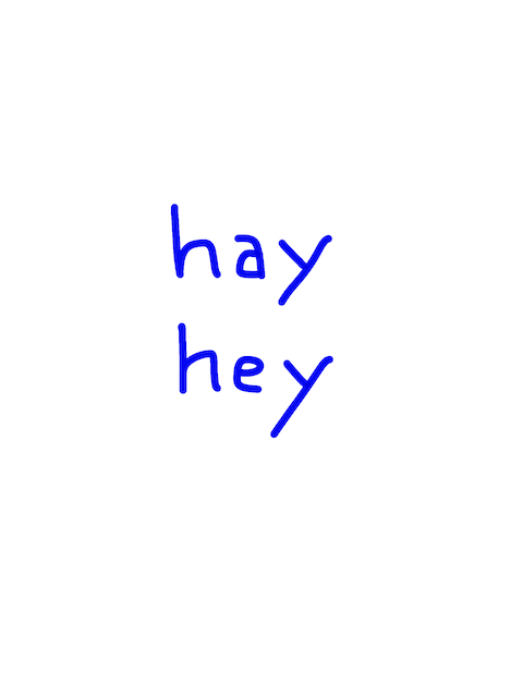 hay/hey　似た英単語/似ている英単語　画像