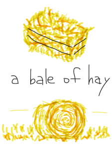 hay/hey　似た英単語/似ている英単語　画像