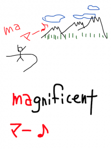 magnificent/significant　似た英単語/似ている英単語　画像