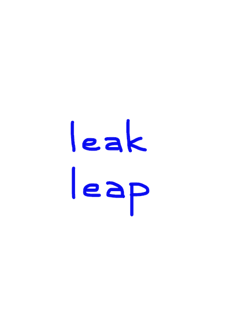 leak/leap　似た英単語/似ている英単語　画像