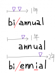 annual/manual　似た英単語/似ている英単語　画像