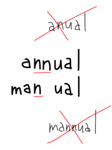 annual/manual　似た英単語/似ている英単語　画像