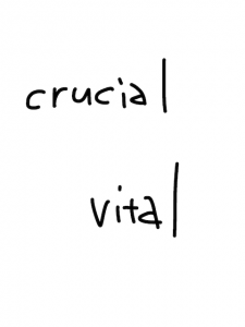 cruel/crucial　似た英単語/似ている英単語　画像