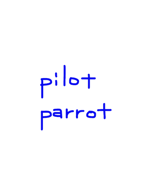 pilot/parrot　似た英単語/似ている英単語　画像