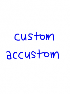 custom/accustom　似た英単語/似ている英単語　画像