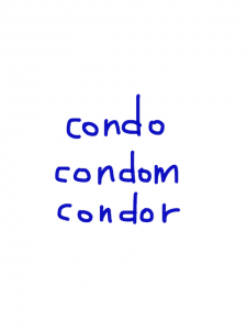 condo/condom/condor　似た英単語/似ている英単語　画像