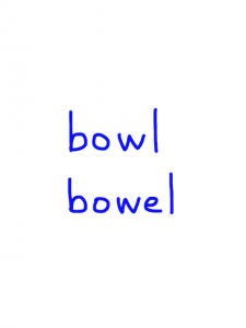 bowl/bowel　似た英単語/似ている英単語　画像