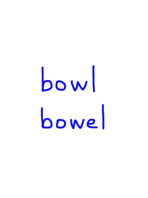 bowl/bowel　似た英単語/似ている英単語　画像