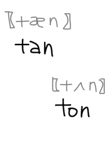 tan/ton　似た英単語/似ている英単語　画像