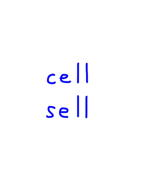 cell/sell　似た英単語/似ている英単語　画像