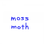 moss/moth　似た英単語/似ている英単語　画像