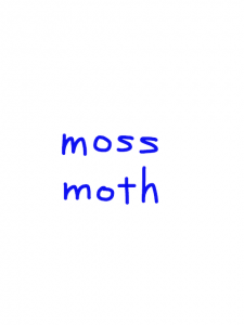 moss/moth　似た英単語/似ている英単語　画像