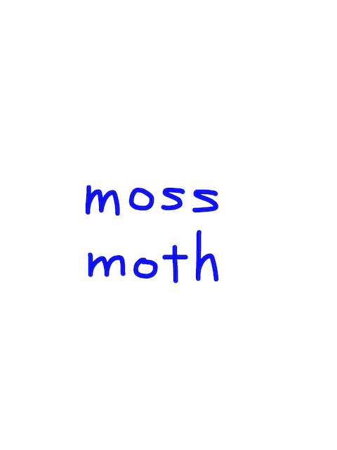 moss/moth　似た英単語/似ている英単語　画像