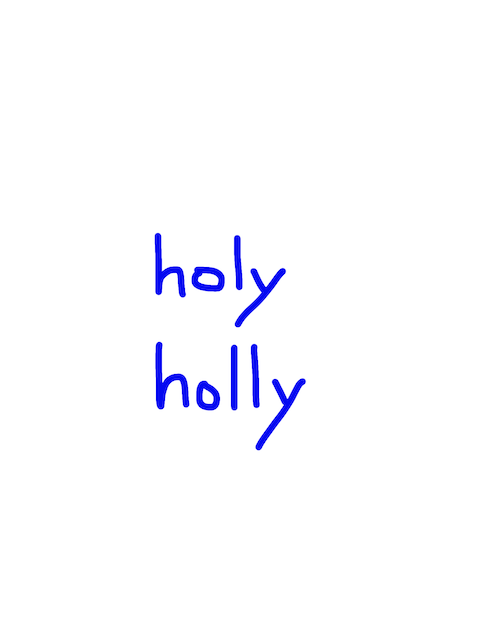 holy/holly　似た英単語/似ている英単語　画像