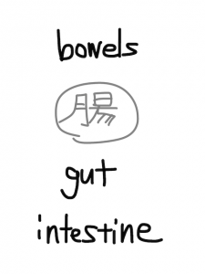 bowl/bowel　似た英単語/似ている英単語　画像