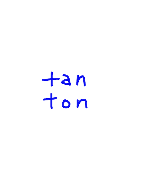 tan/ton　似た英単語/似ている英単語　画像