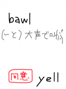 bawl/bowl　似た英単語/似ている英単語　画像