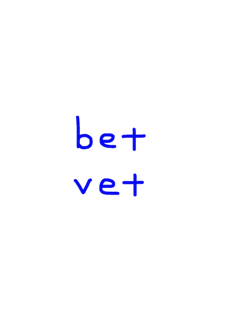 bet/vet　似た英単語/似ている英単語　画像