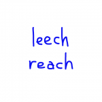 leech/reach　似た英単語/似ている英単語　画像