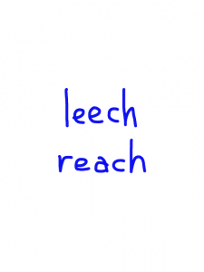 leech/reach　似た英単語/似ている英単語　画像